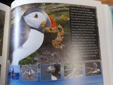 Wild Derrynane